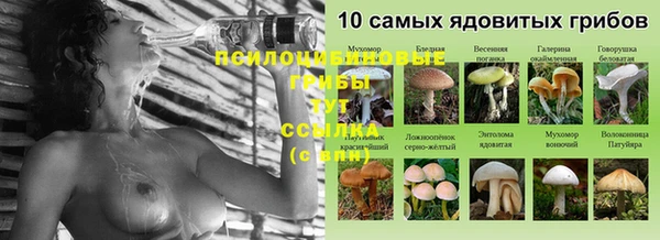 прущая мука Белоозёрский