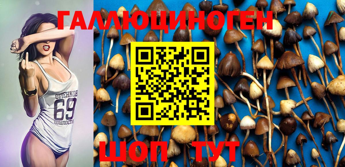 Галлюциногенные грибы MAGIC MUSHROOMS  Вход с VPN  Псилоцибиновые грибы MAGIC MUSHROOMS  Липецк 
